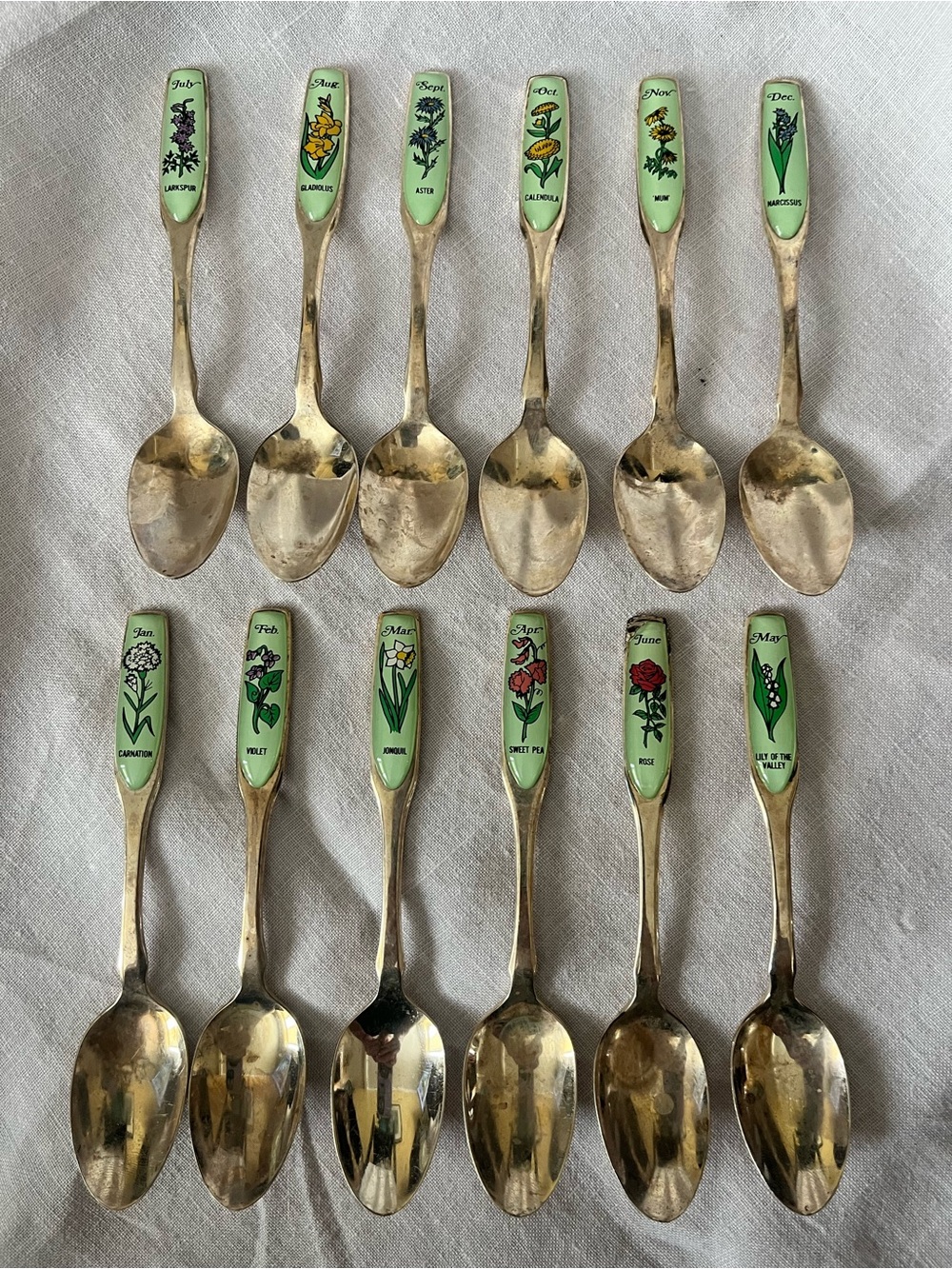 12 Vintage Month Floral Enamel Handle Teaspoon Set - Green Botanical Design